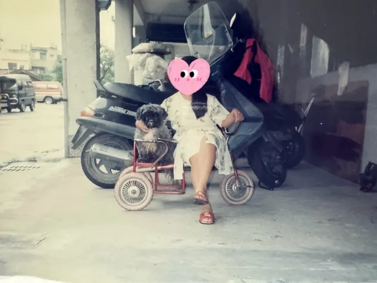 萩比麻麻小時與胖胖合照(快30年了)