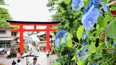 鎌倉江之島旅遊地圖（建置中）