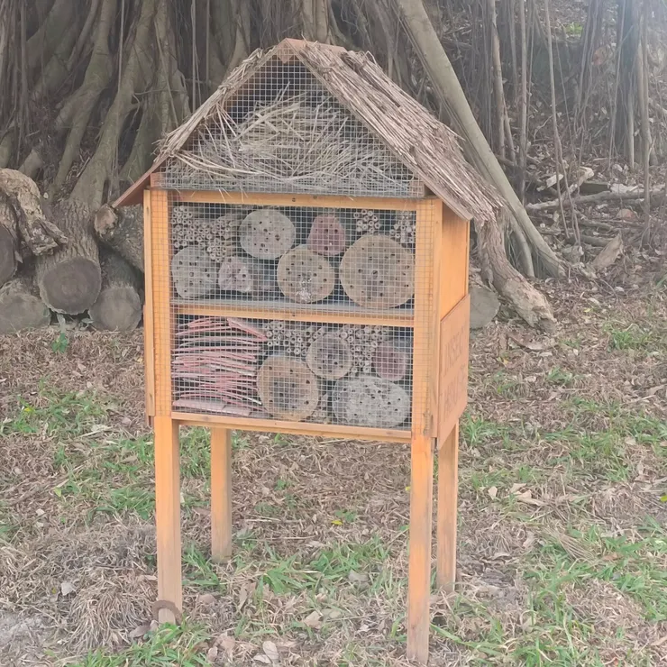 昆蟲旅館Insect House