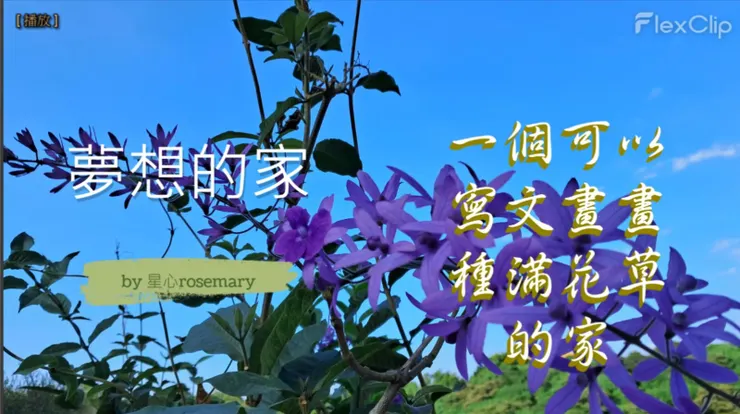 設計