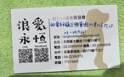 中壢浪貓送養資訊，讓毛孩子找到幸福!