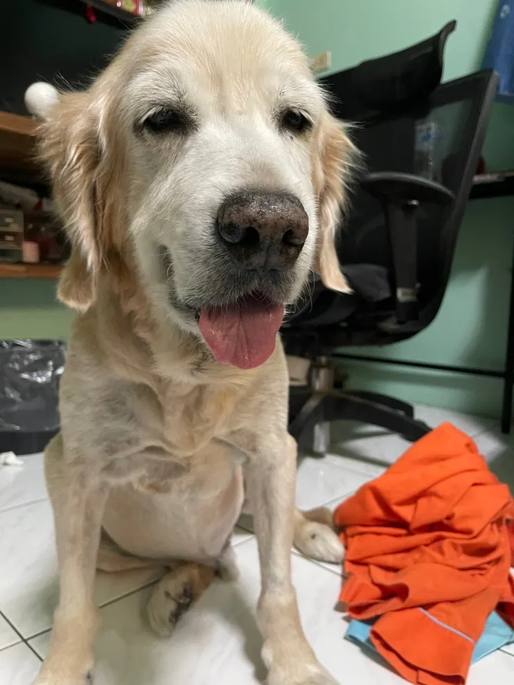 安樂前小八送給全家人一個燦笑(小八姊姊提供)