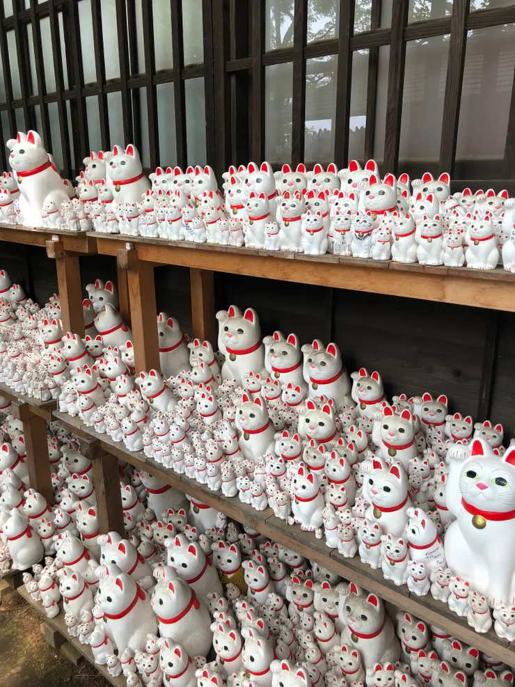 滿滿都是招財貓