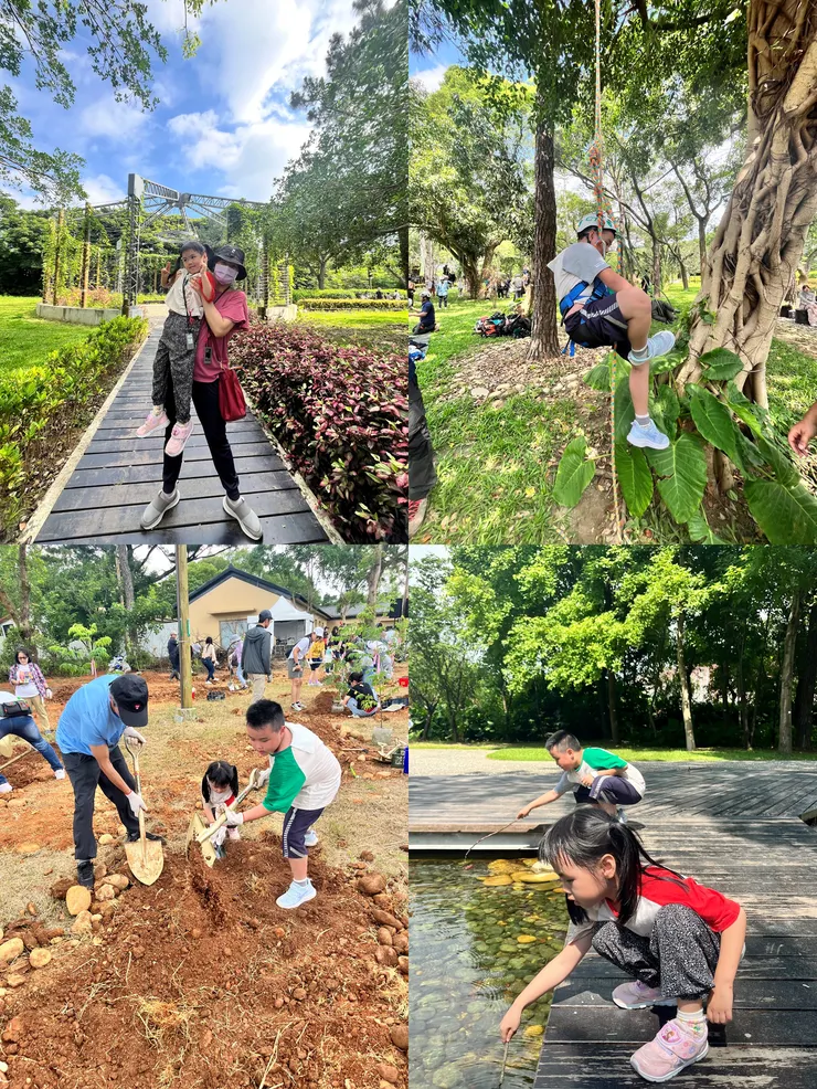 雙寶老爹006208定期定額全記錄，2025年06月