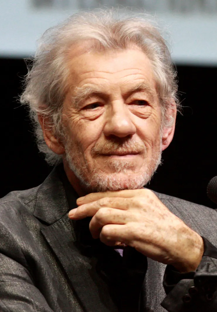 Ian‧McKellen，獵頭（Headhunting）組織元老之一，編號11134，代號戰鷹(Warhawk)