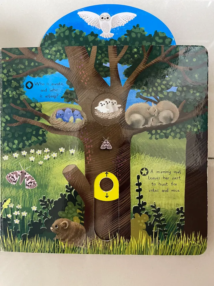 Night Animals-部分內頁