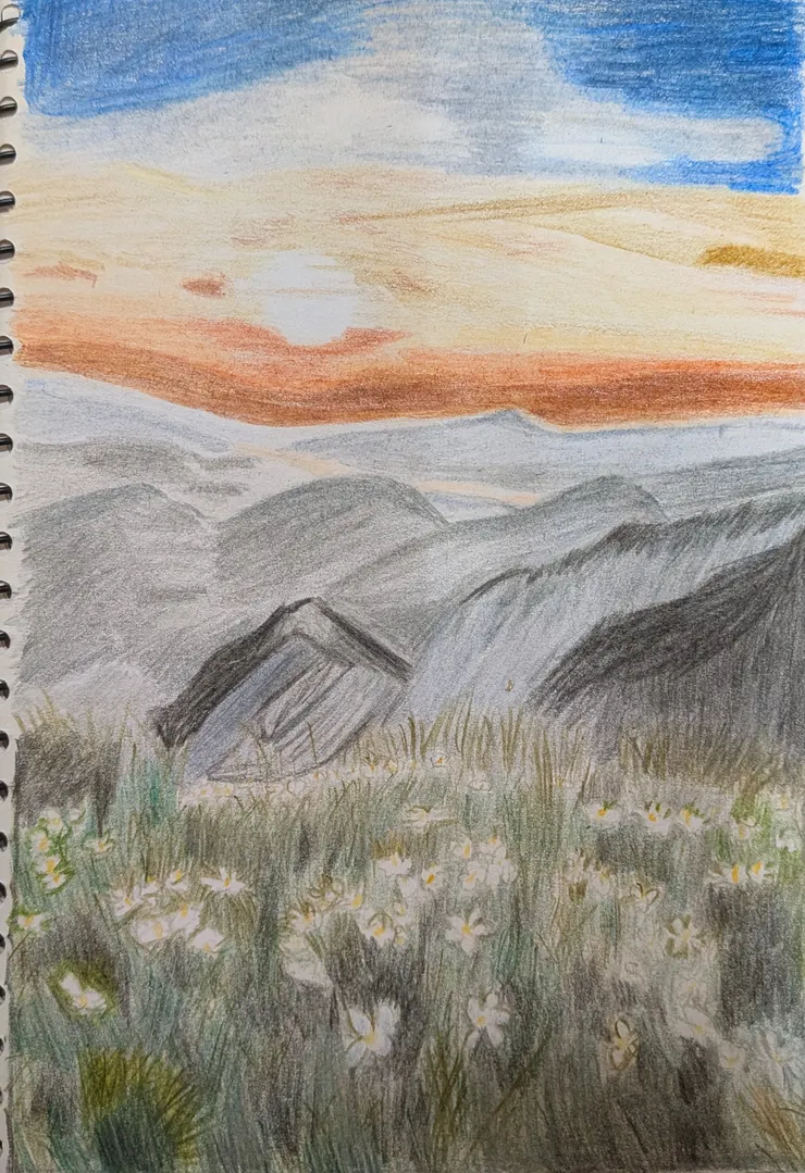 小四的色鉛筆畫作