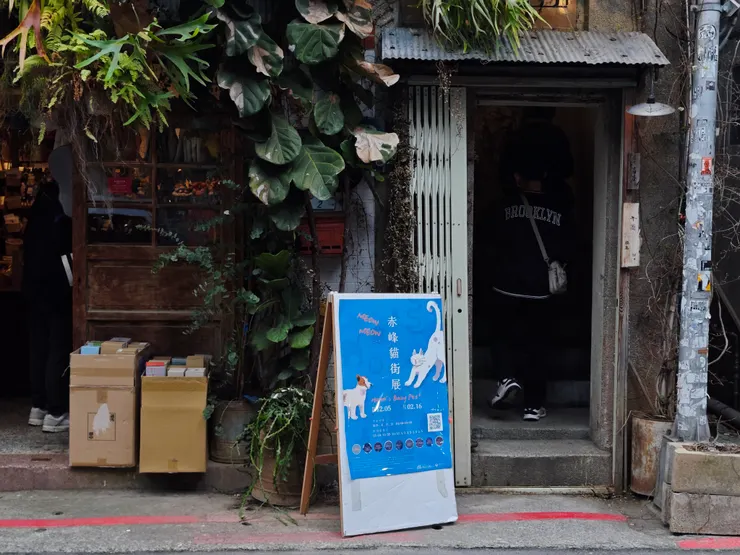 要來一杯貓嗎？