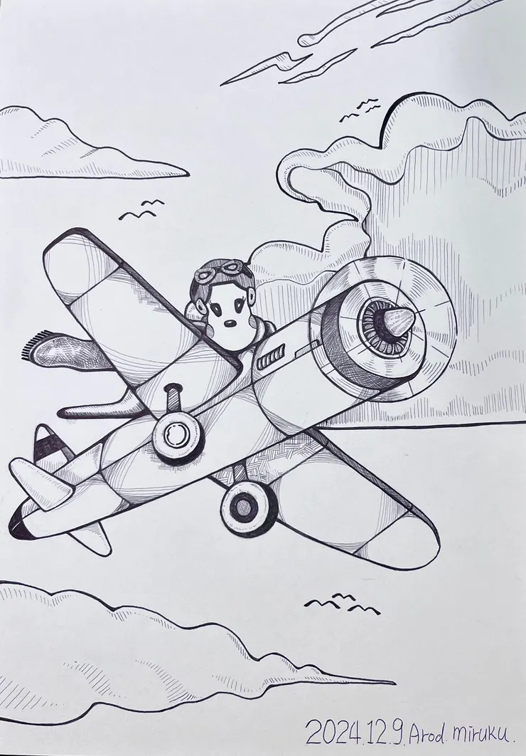 黑色原子筆手繪-飛翔