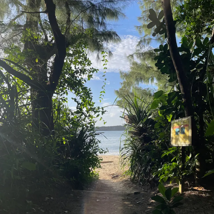 泳池一旁的隱密小徑，可通往月之濱沙灘，雖然很短，但走起來有一點點探險感