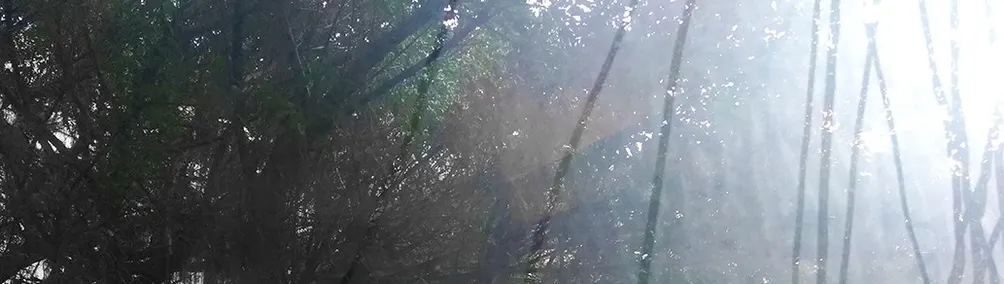 ONFOTO STUDIO的沙龍