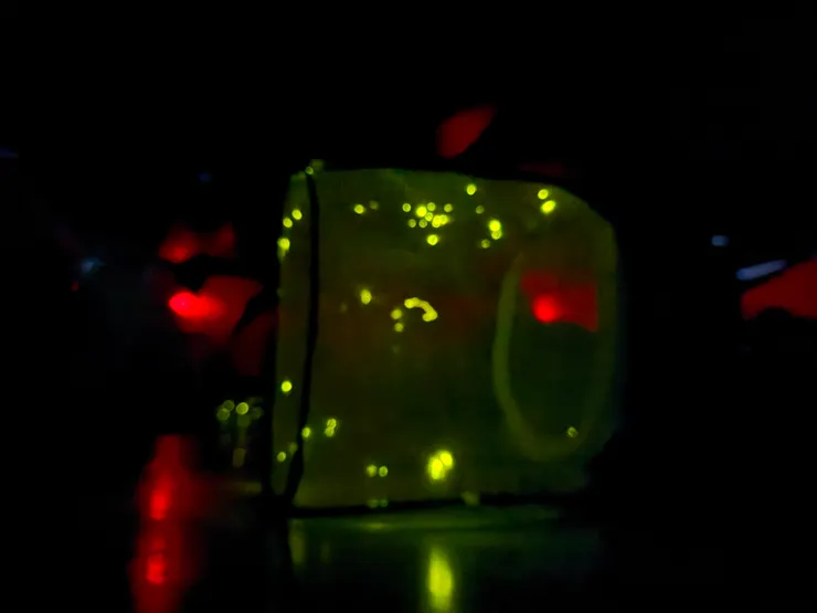 2026/04/25 暗房裡面看螢火蟲 (紅色是逃生處的燈)