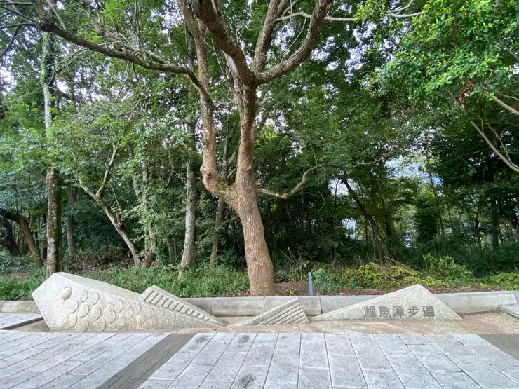 鯉魚潭步道入口
