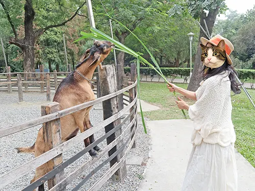 高雄大樹旅遊親子景點，華一休閒農場，入園憑門票免費兌換牧草。