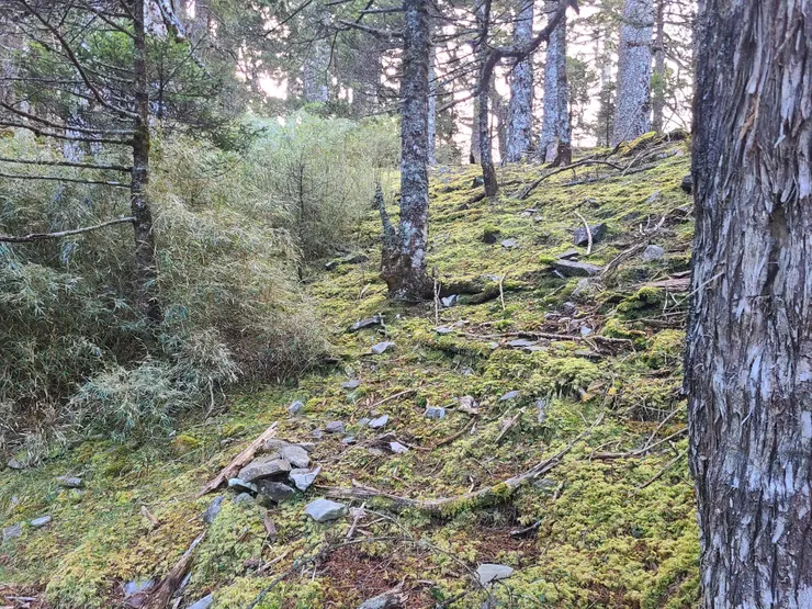 回程打算走不同路