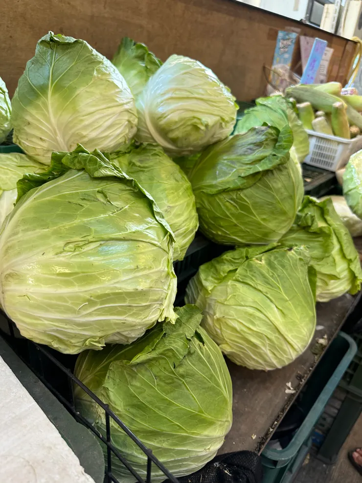 最近高麗菜很便宜，買來製成爽口泡菜配肉吃也是好棒棒👍