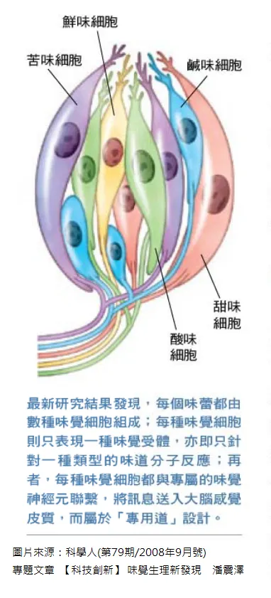 圖片來源:科學人雜誌