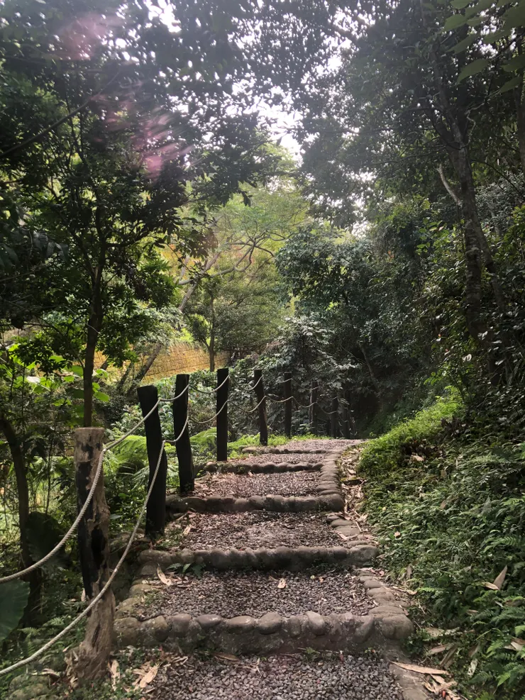 除了枕木棧道，也有這種很親民的路面