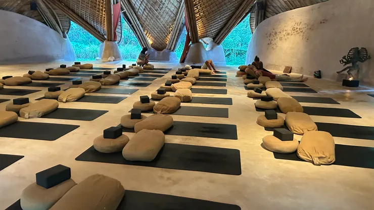 內觀氛圍神秘而迷濛
