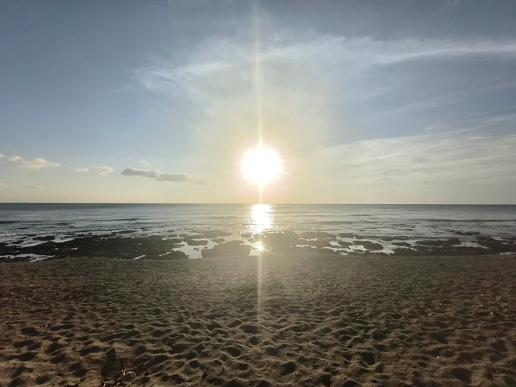 流浪風情兒的沙龍