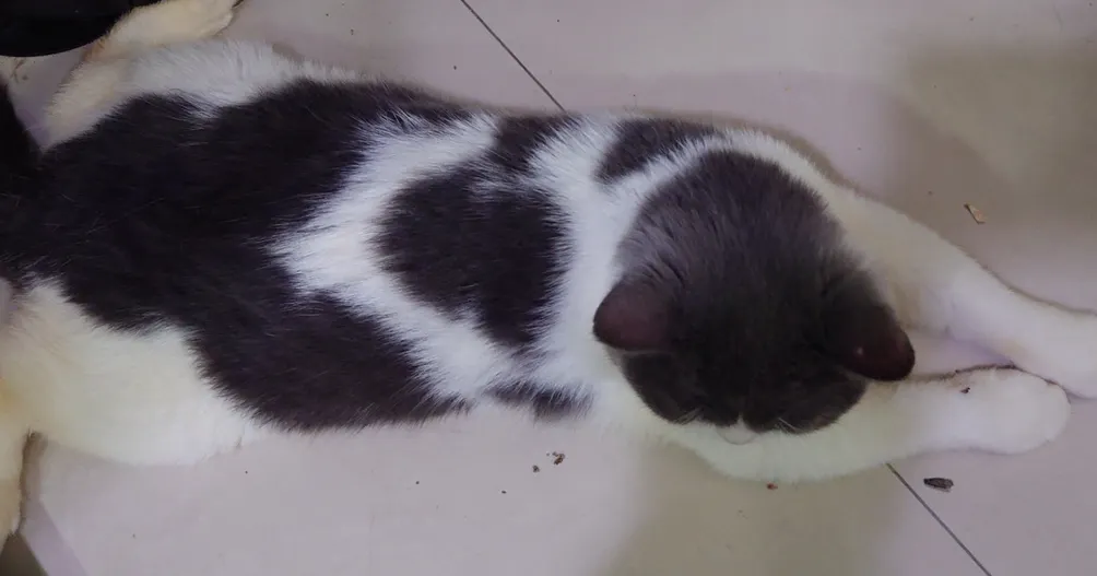 現實與想像中的慾望