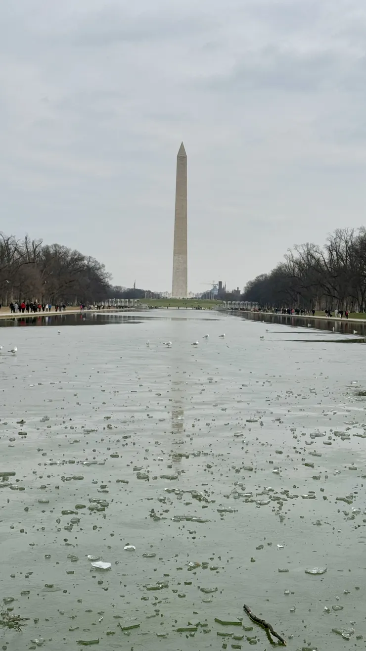 有些碎冰浮在倒影池水面上