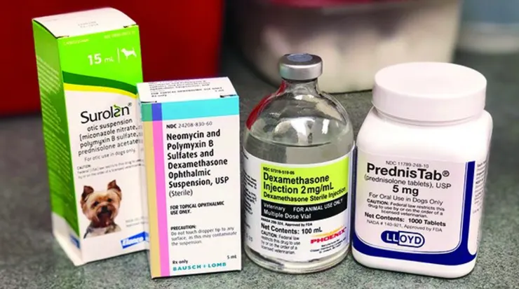 醫療上各種會使用到的外源性類固醇