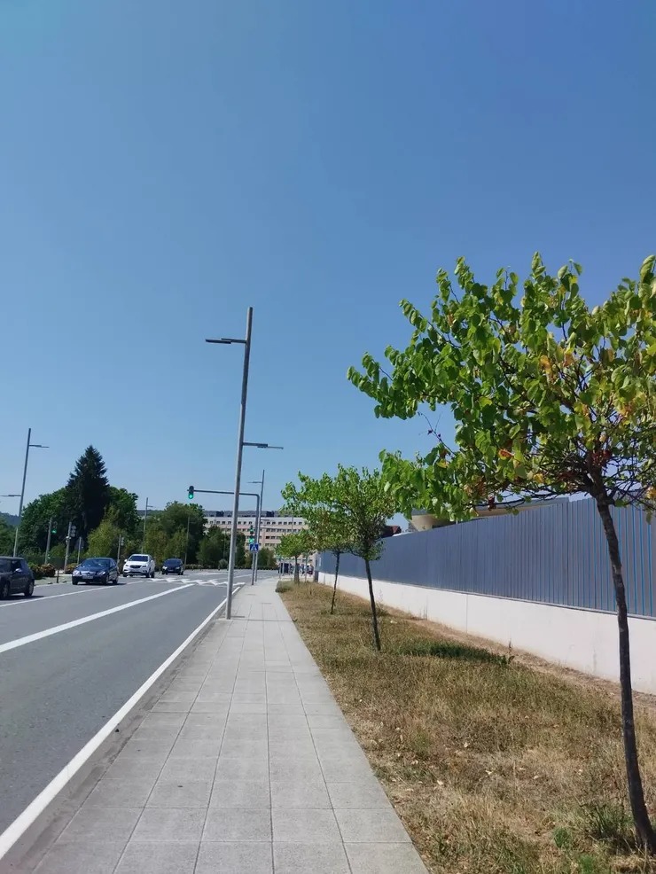 天氣很好,漫漫長路等著我XD