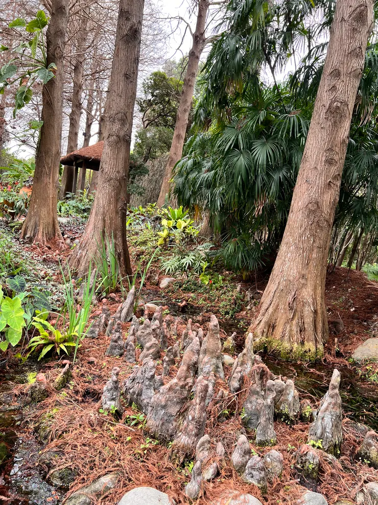 既強大又浪漫的膝根