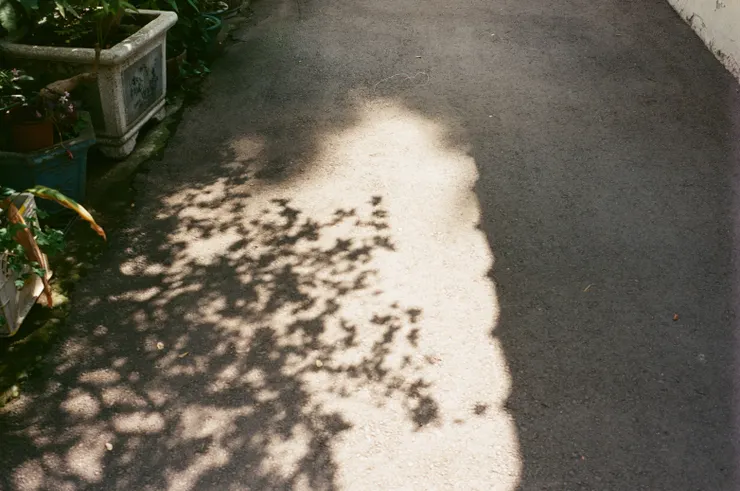 （ Leica M6 / fujifilm xtra400 / Taichung ）