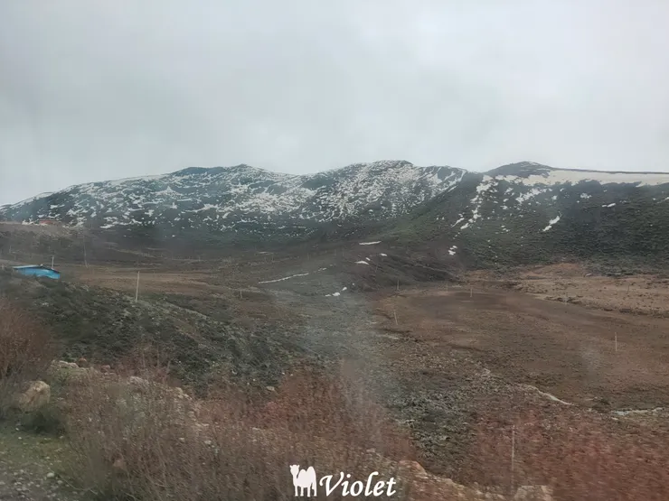 前往魯朗小鎮的魯上