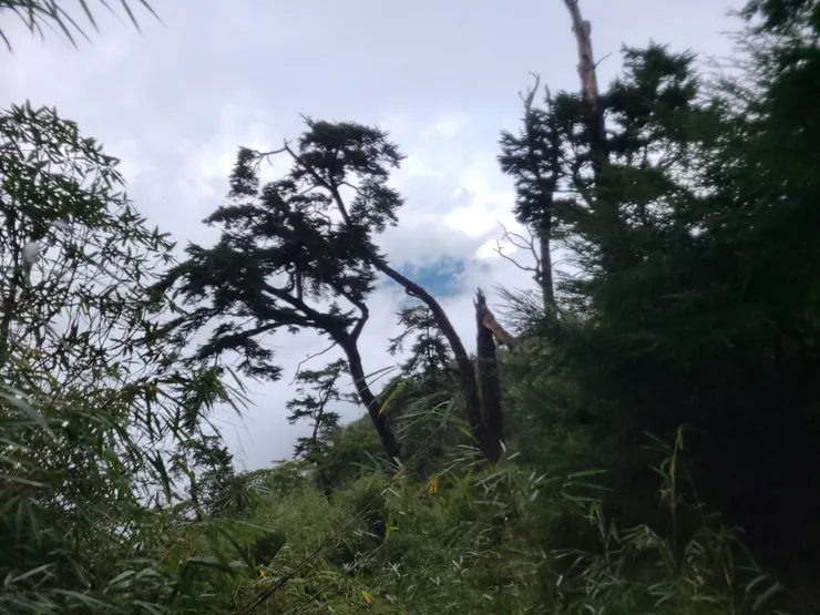 只希望到營地別再下雨