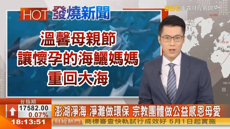 做公益感恩母愛！觀音山 龍德嚴淨仁波切推動淨海、淨灘做環保 搶救海鱺媽媽放流永續海洋資源