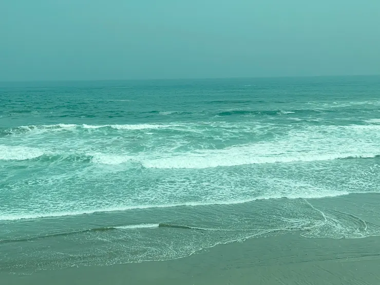 種差海岸當日的海浪還算可以