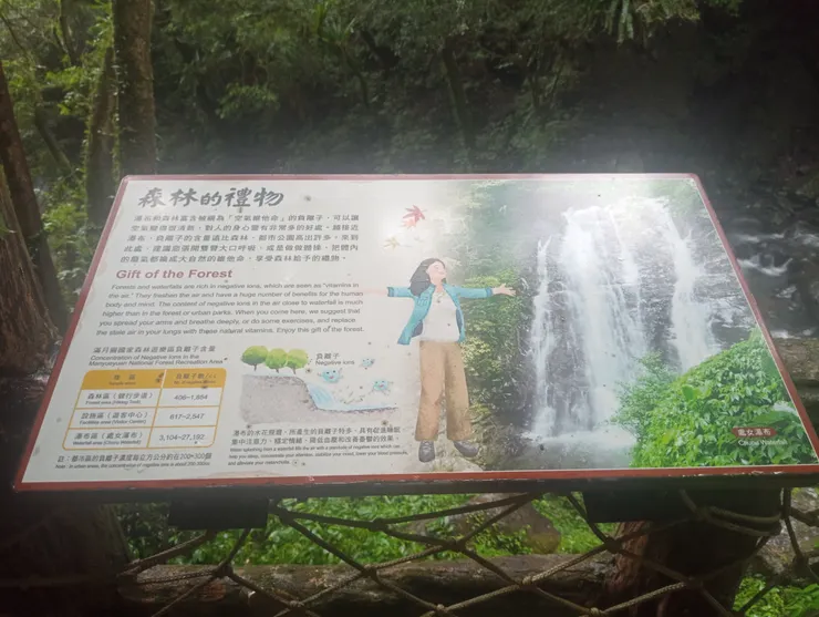 負離子含量極高