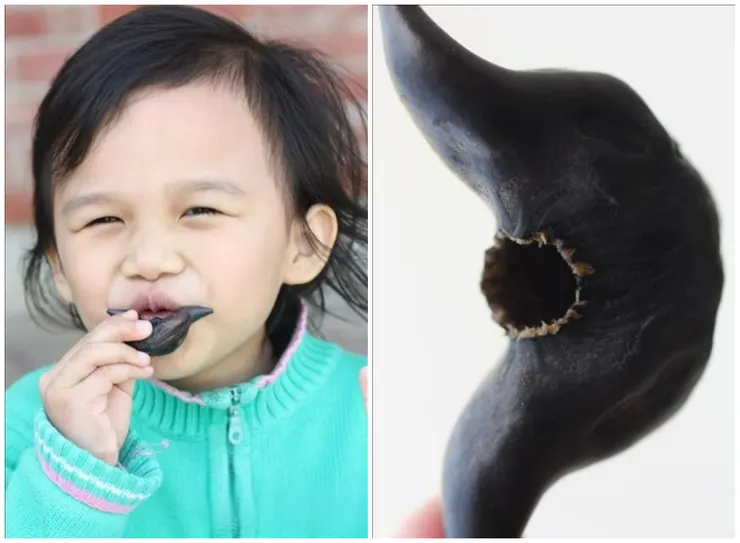 將菱角挖空就可做成菱笛