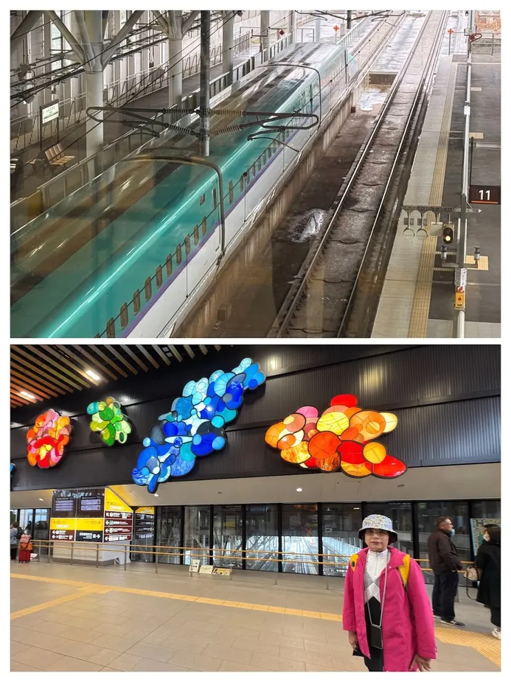 新幹線新北斗函館站