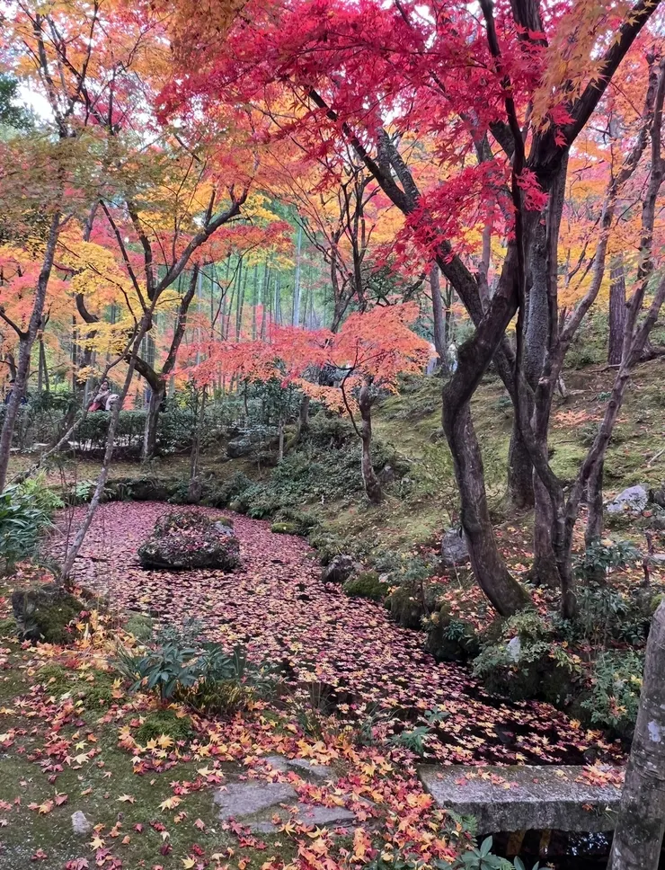 我的拙筆沒辦法形容這樣的美