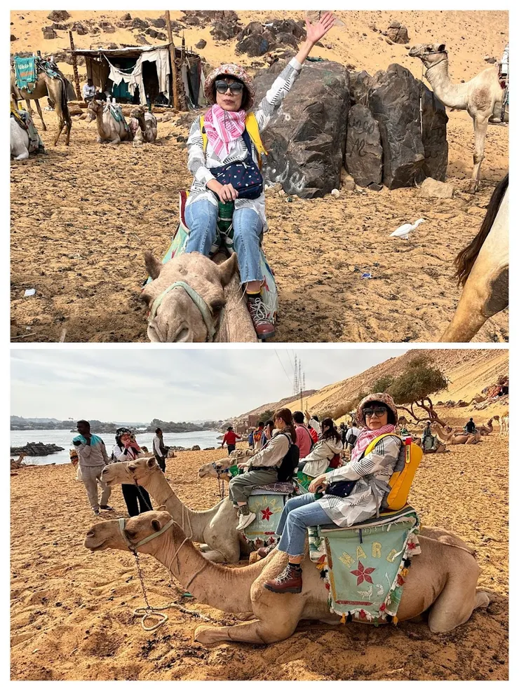 每人找一頭駱駝當坐騎