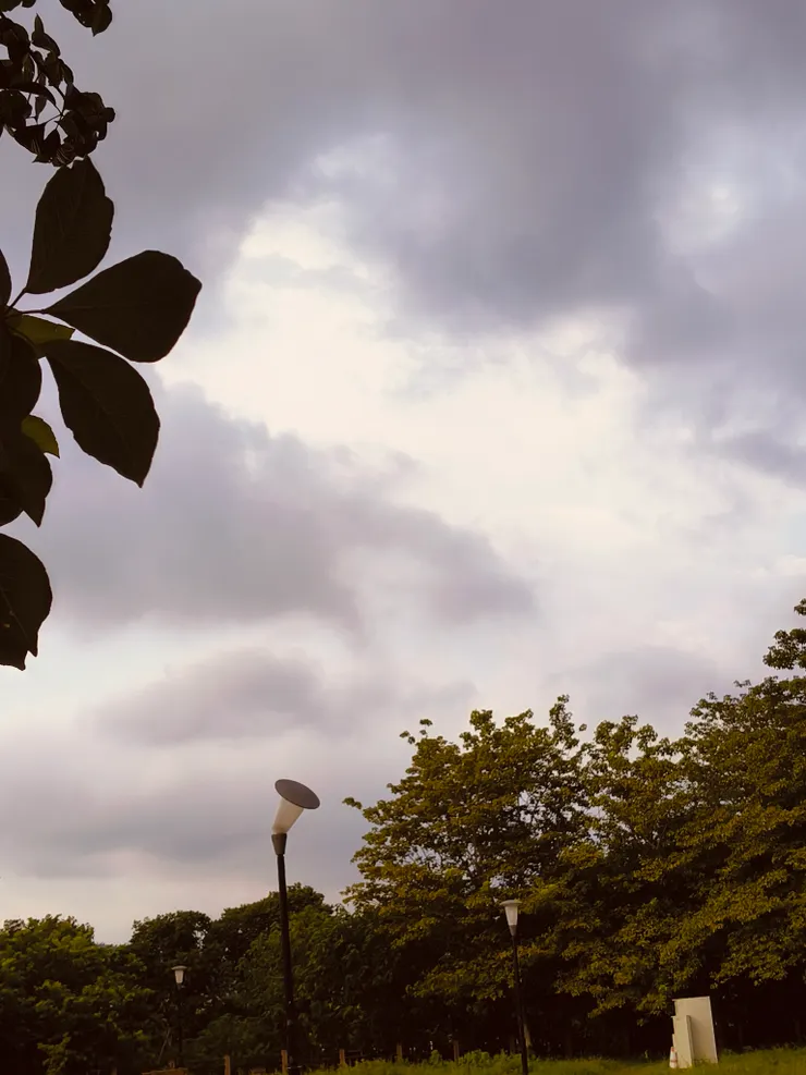 只有看到雲分叉而已