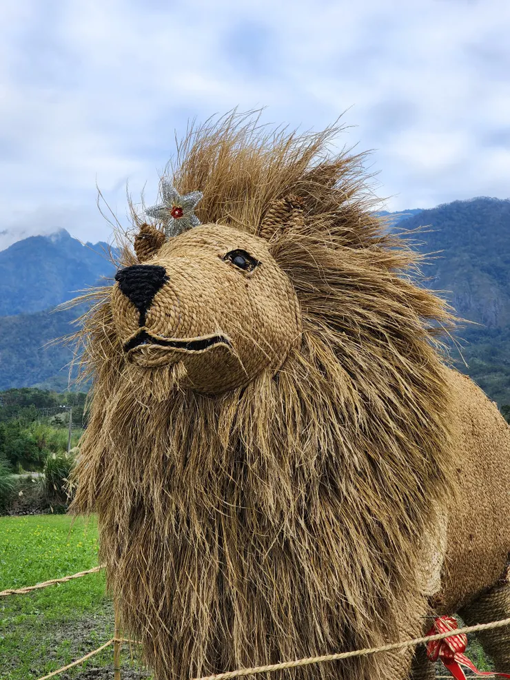 富里稻草藝術季於 12 月 25 日起登場，讓秋收後的稻草化身為農村藝術風景。（圖／花蓮縣政府提供)