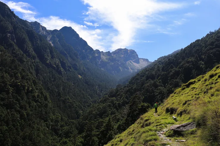 玉山東峰,那漆黑、險峻、尖聳的身影,從八通關古道的玉山登山道望去,甚至比玉山還巨大。