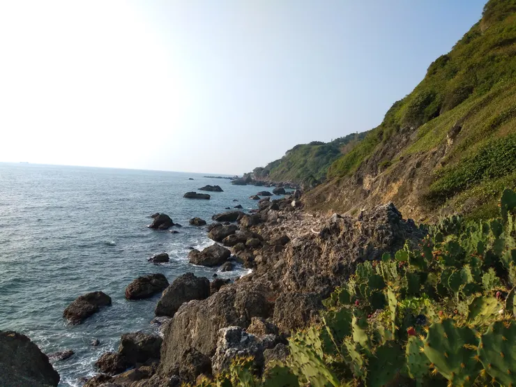 高雄西子灣的海岸，是台灣人的海岸。（照片為作者親自拍攝，請勿挪為他用）
