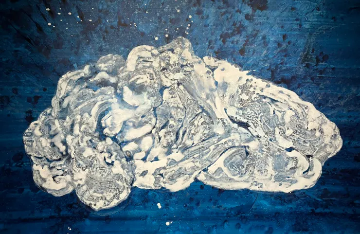 高雄美術館拍的,看得出來是什麼嗎?