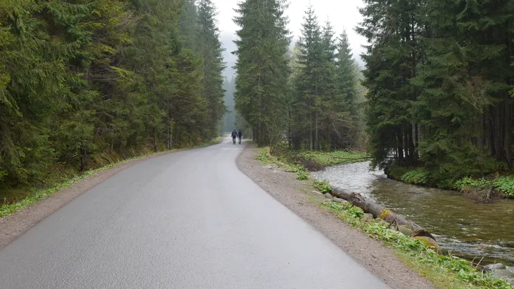 歐洲人真的走蠻快的，連阿公阿嬤那種歲數都走很快的那種