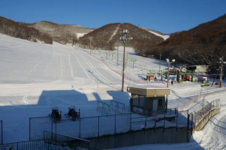 Family & Friendly 雪道
