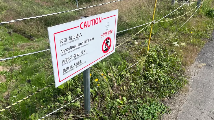 而且還是簡體中文。