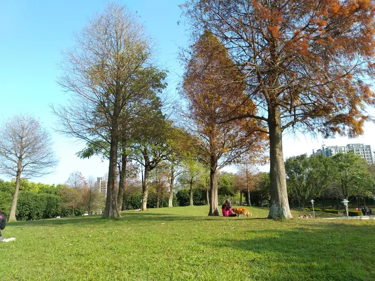 埔頂公園