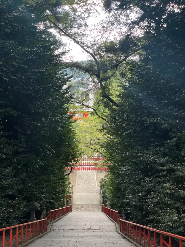 往下看的時候覺得很美