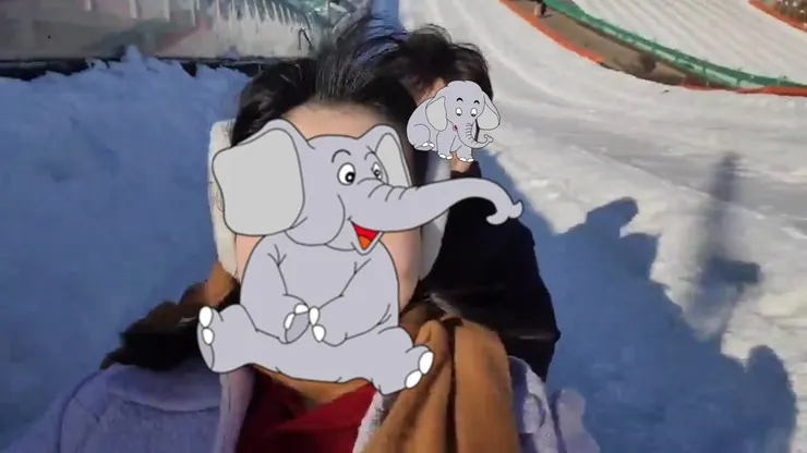 條條雪橇場終點處會往上衝